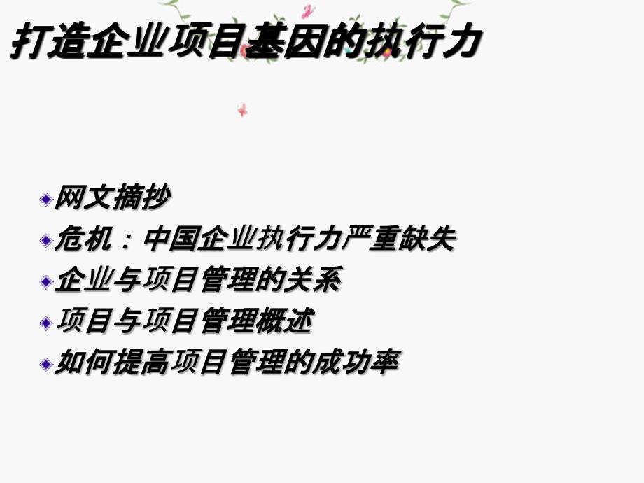 打造企业项目基因的执行力全_第2页