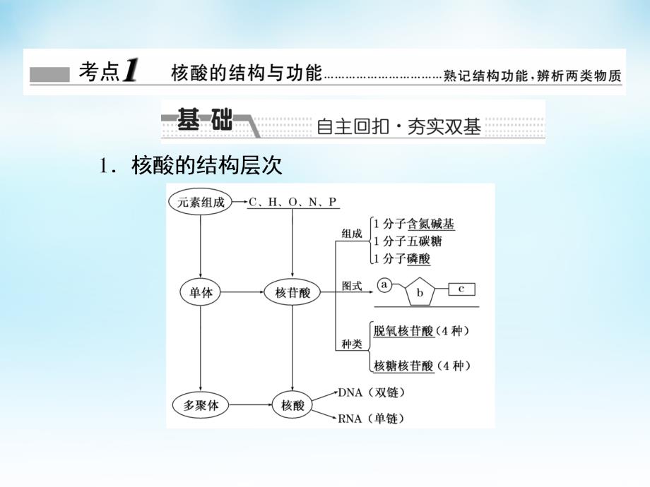 高三生物一轮复习 第一单元 第4讲 核酸、糖类和脂质课件 新人教版必修_第2页