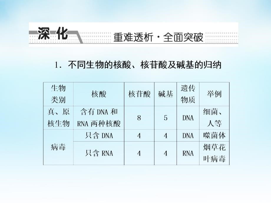 高三生物一轮复习 第一单元 第4讲 核酸、糖类和脂质课件 新人教版必修_第5页