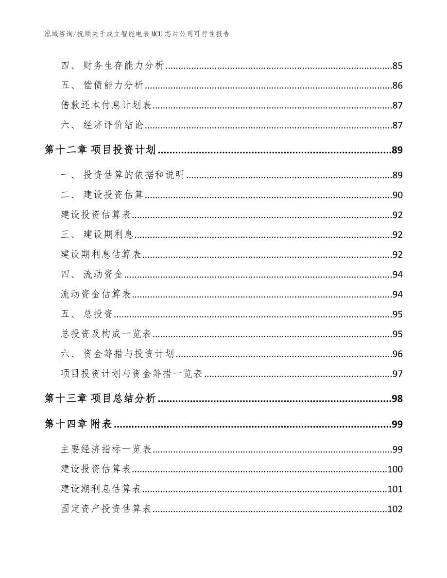 抚顺关于成立智能电表MCU芯片公司可行性报告（参考模板）_第5页