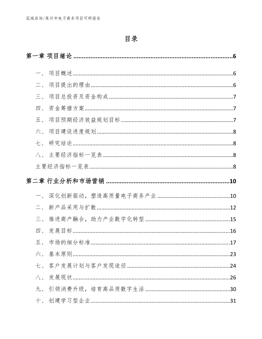 莱州市电子商务项目可研报告_第1页