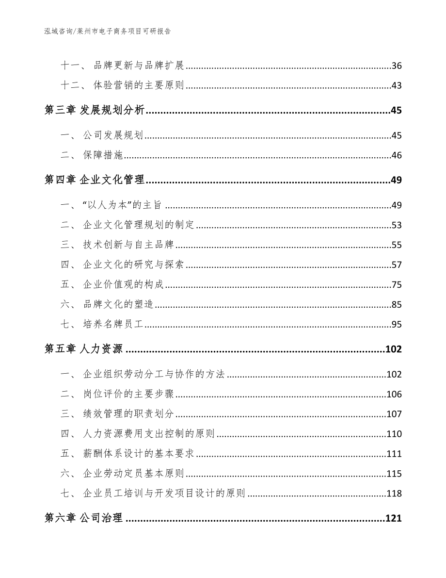 莱州市电子商务项目可研报告_第2页