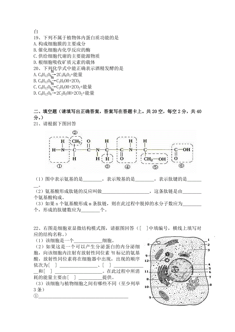 贵州省遵义四中10-11学年高一生物上学期期末考试【会员独享】_第3页