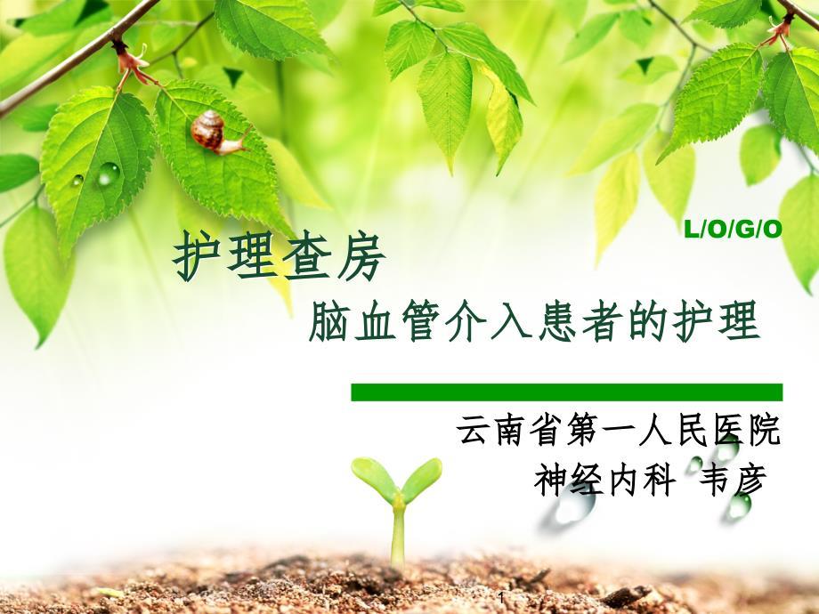 脑血管介入患者护理查房.PPT精品文档
