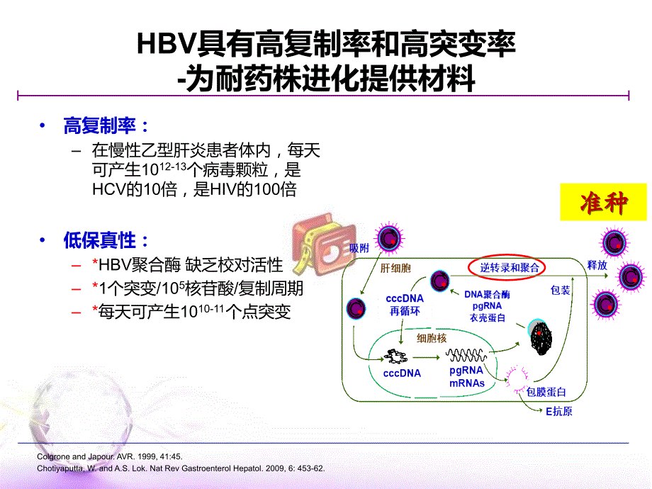 抗病毒治疗耐药机制_第3页