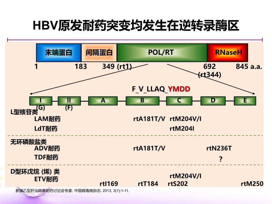 抗病毒治疗耐药机制_第4页