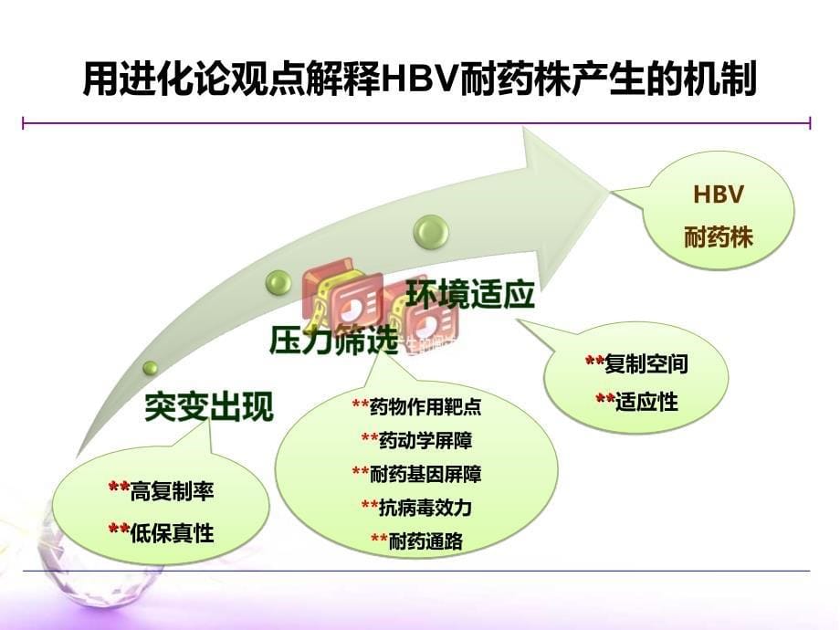 抗病毒治疗耐药机制_第5页