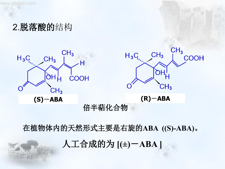 第八章植物生长物质改ABAEthydc_第2页