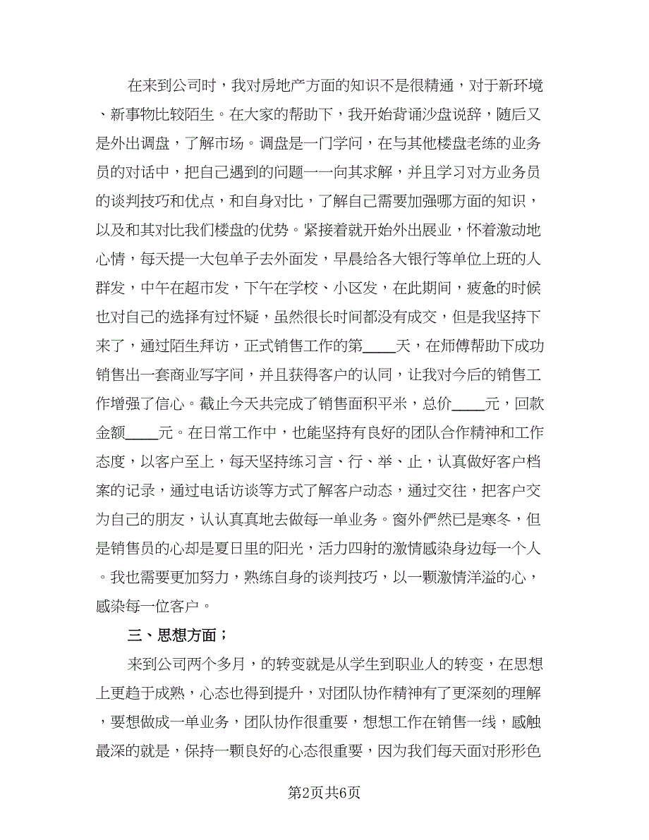 销售员工年终总结标准模板（二篇）.doc_第2页