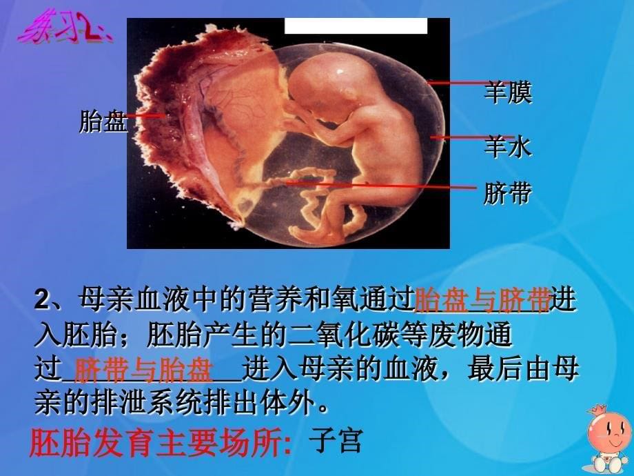 七年级科学下册 第一章《代代相传的生命》复习课件 浙教_第5页