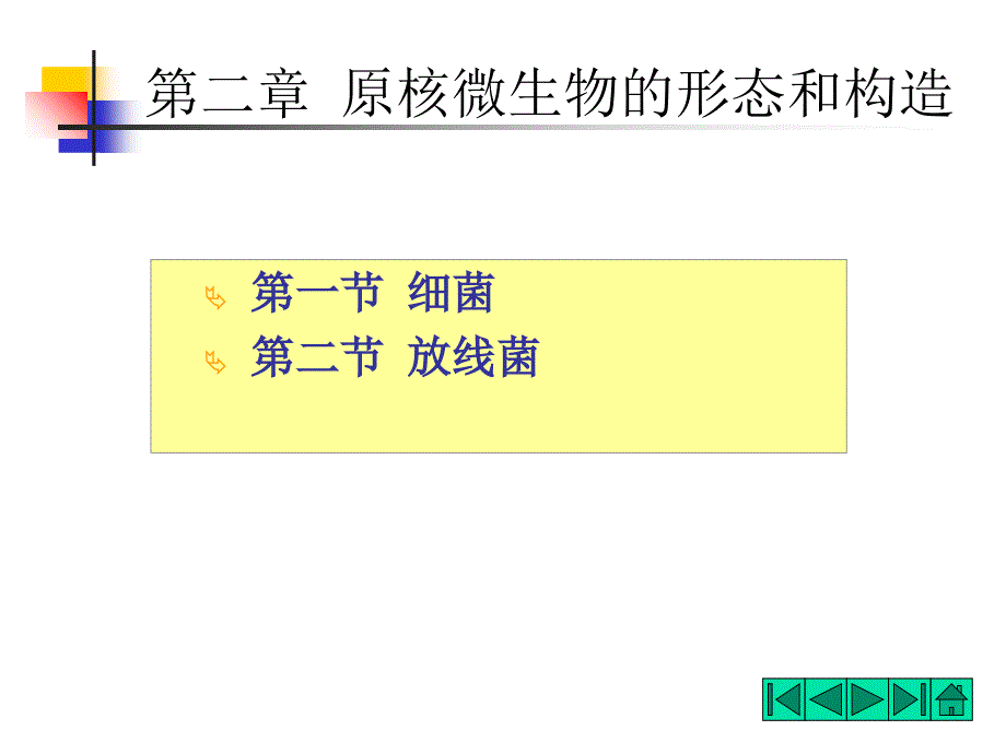 教学课件第二章原核微生物的形态和构造_第1页