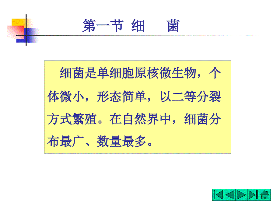 教学课件第二章原核微生物的形态和构造_第3页