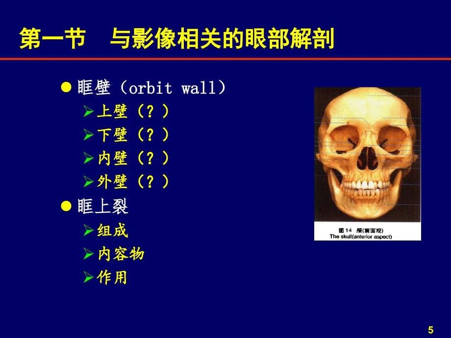 XXXX58规培小讲课五官之眼眶疾病影像诊断_第5页