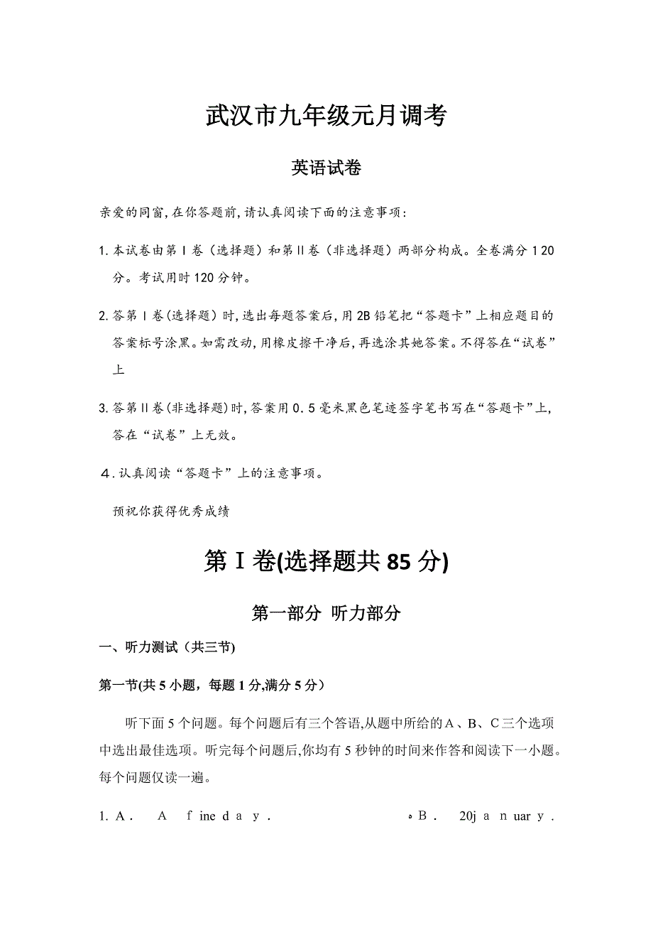 武汉市九年级元月调考_第1页