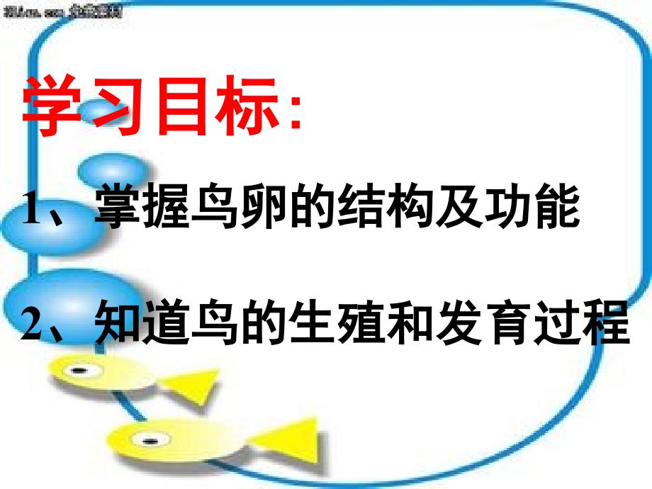 山东省聊城莘县翰林中学八年级下册生物鸟类的生殖和发育课件_第2页