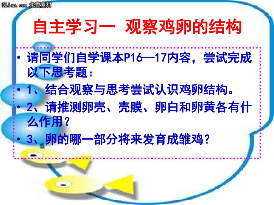 山东省聊城莘县翰林中学八年级下册生物鸟类的生殖和发育课件_第3页