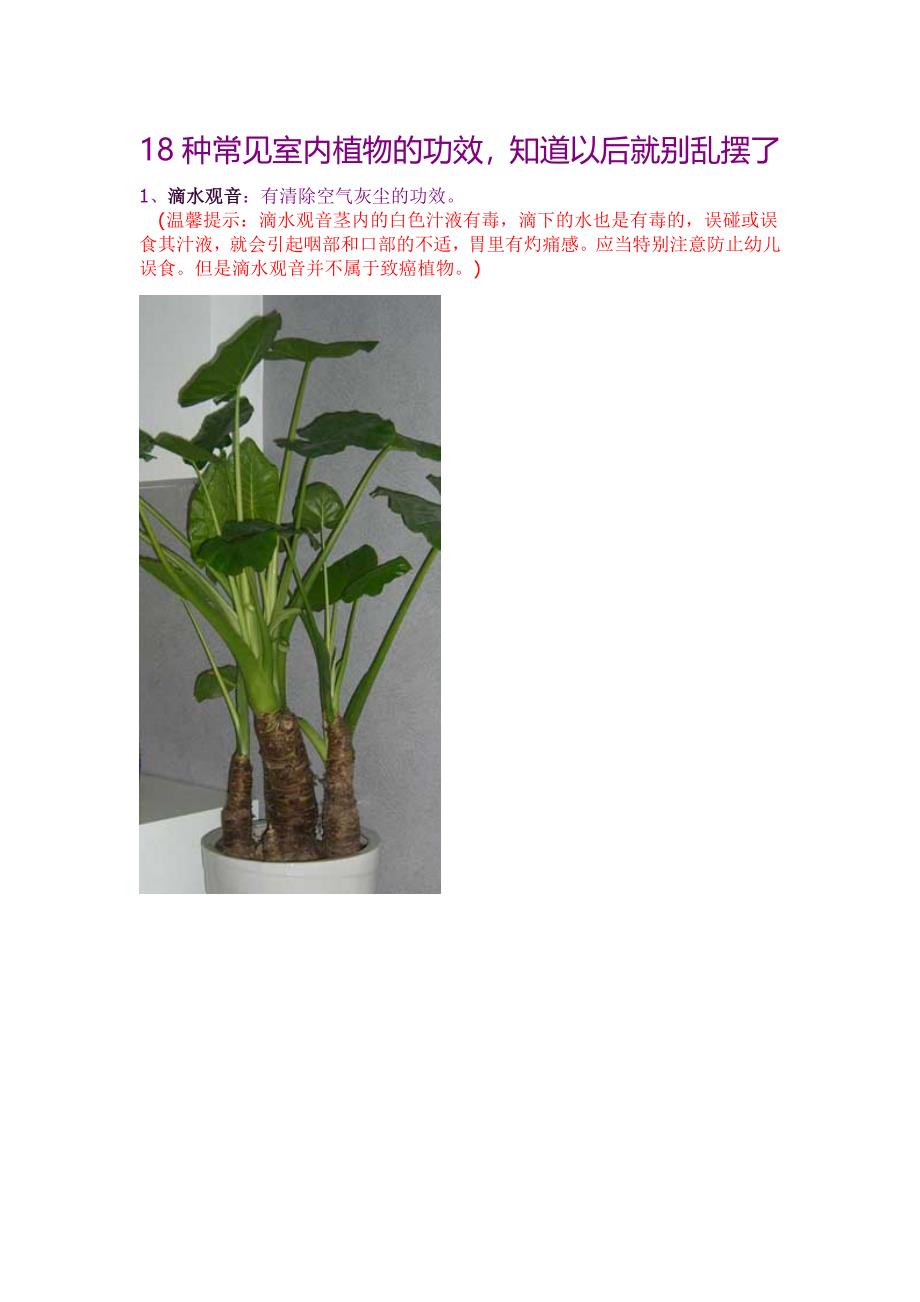 18种常见室内植物的功效_第1页