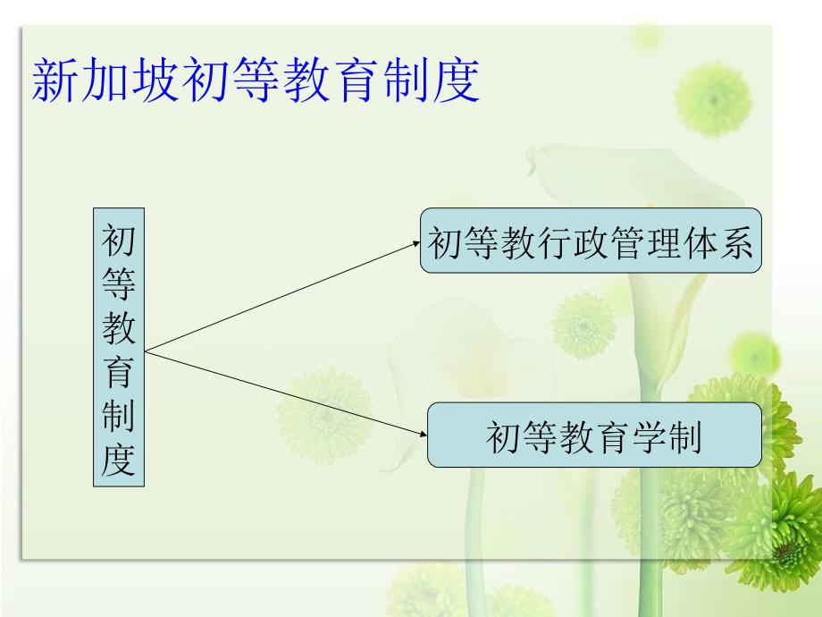 新加坡初等教育制度分析的_第2页