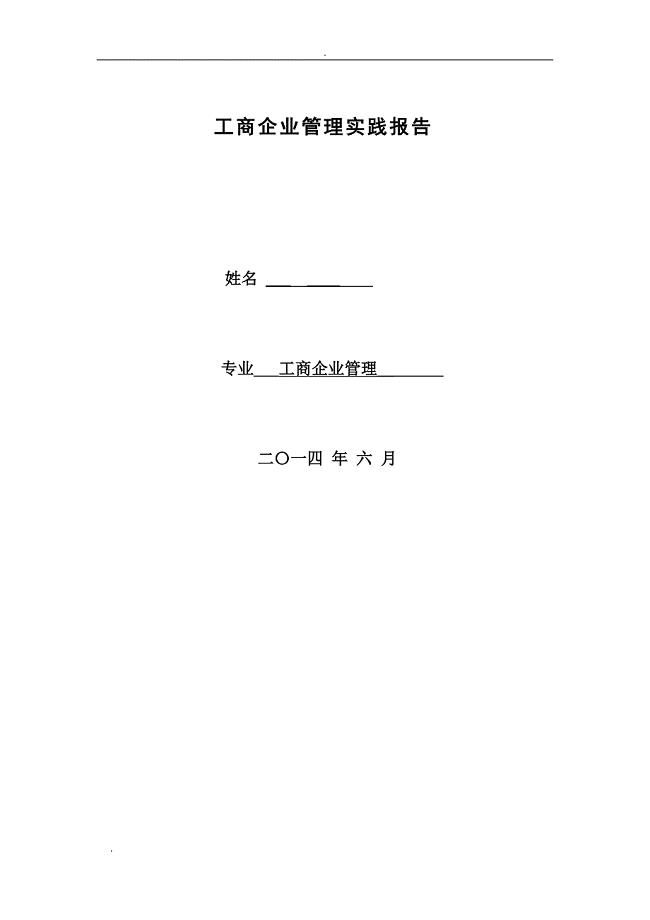 工商企业管理实践报告