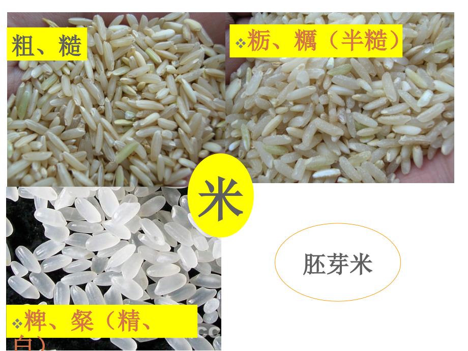 【中医学】第十章 足少阴任督奇穴_第3页