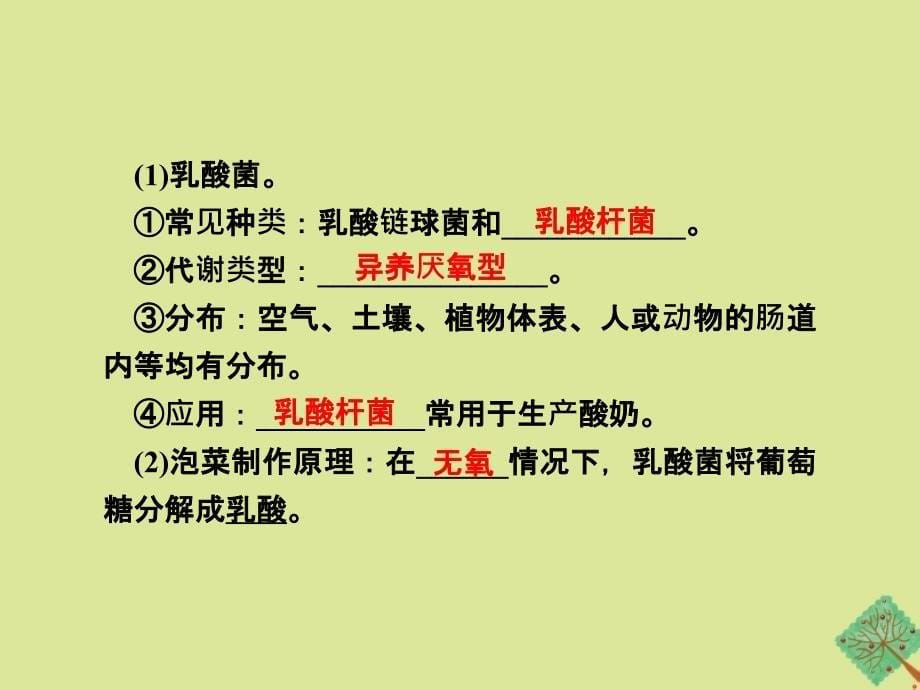 高中生物专题1传统发酵技术的应用课题3制作泡菜并检测亚硝酸盐含量课件新人教版选修1_第5页