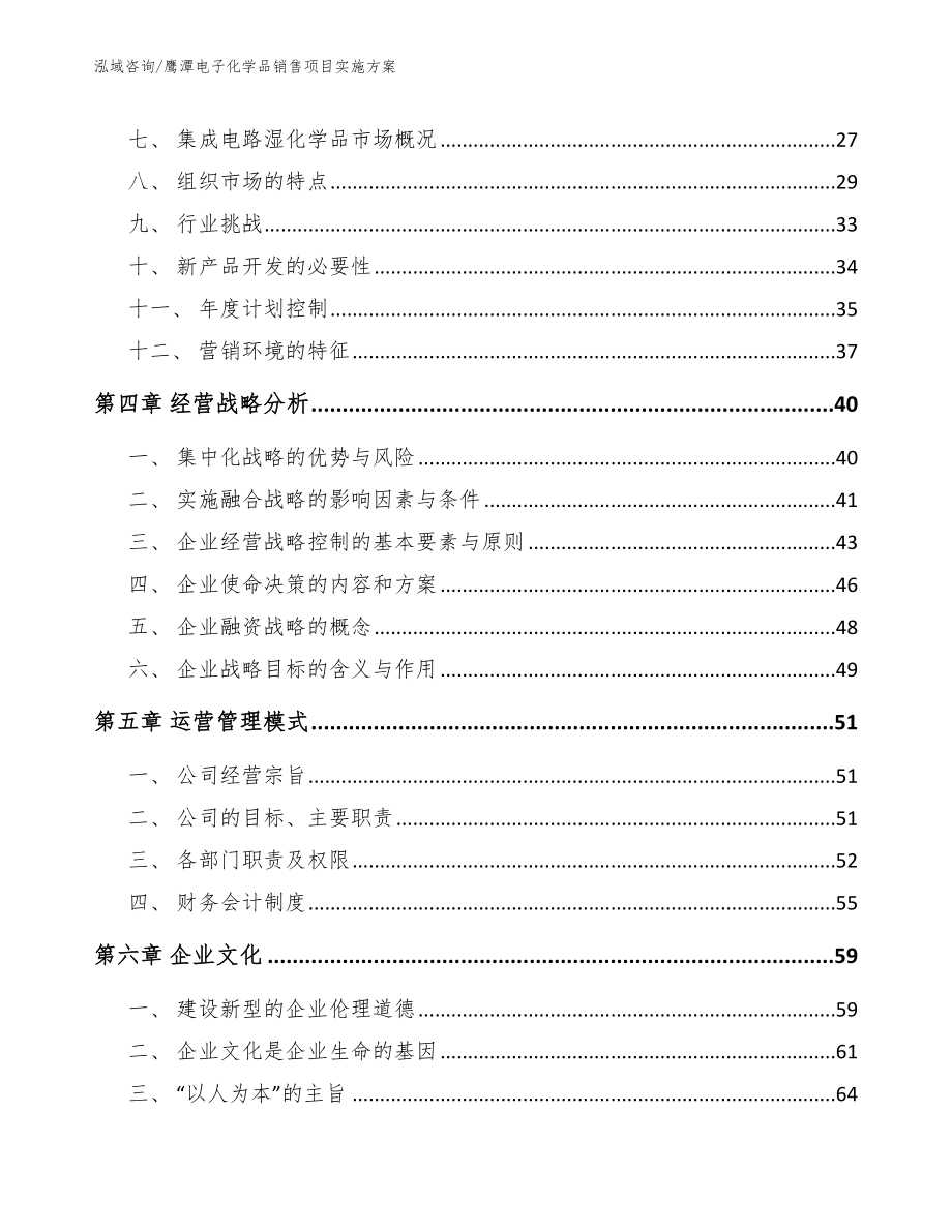 鹰潭电子化学品销售项目实施方案（模板范文）_第2页