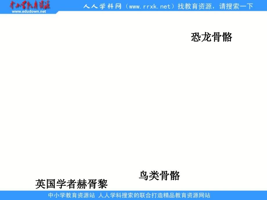 鲁教版语文三年级下册飞向蓝天的恐龙课件3_第4页