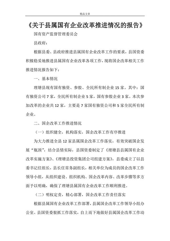 《关于县属国有企业改革推进情况的报告》.doc