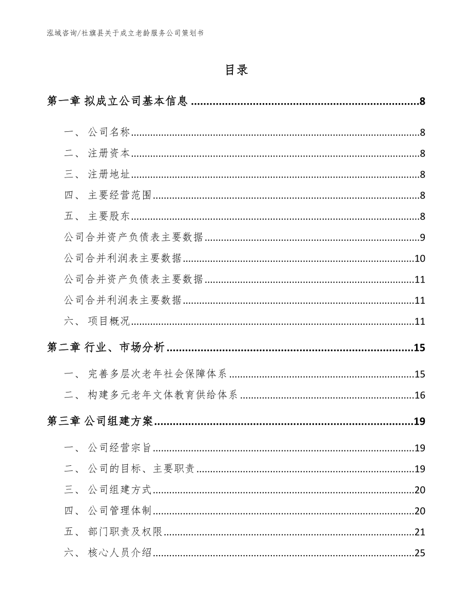 社旗县关于成立老龄服务公司策划书（模板范文）_第2页