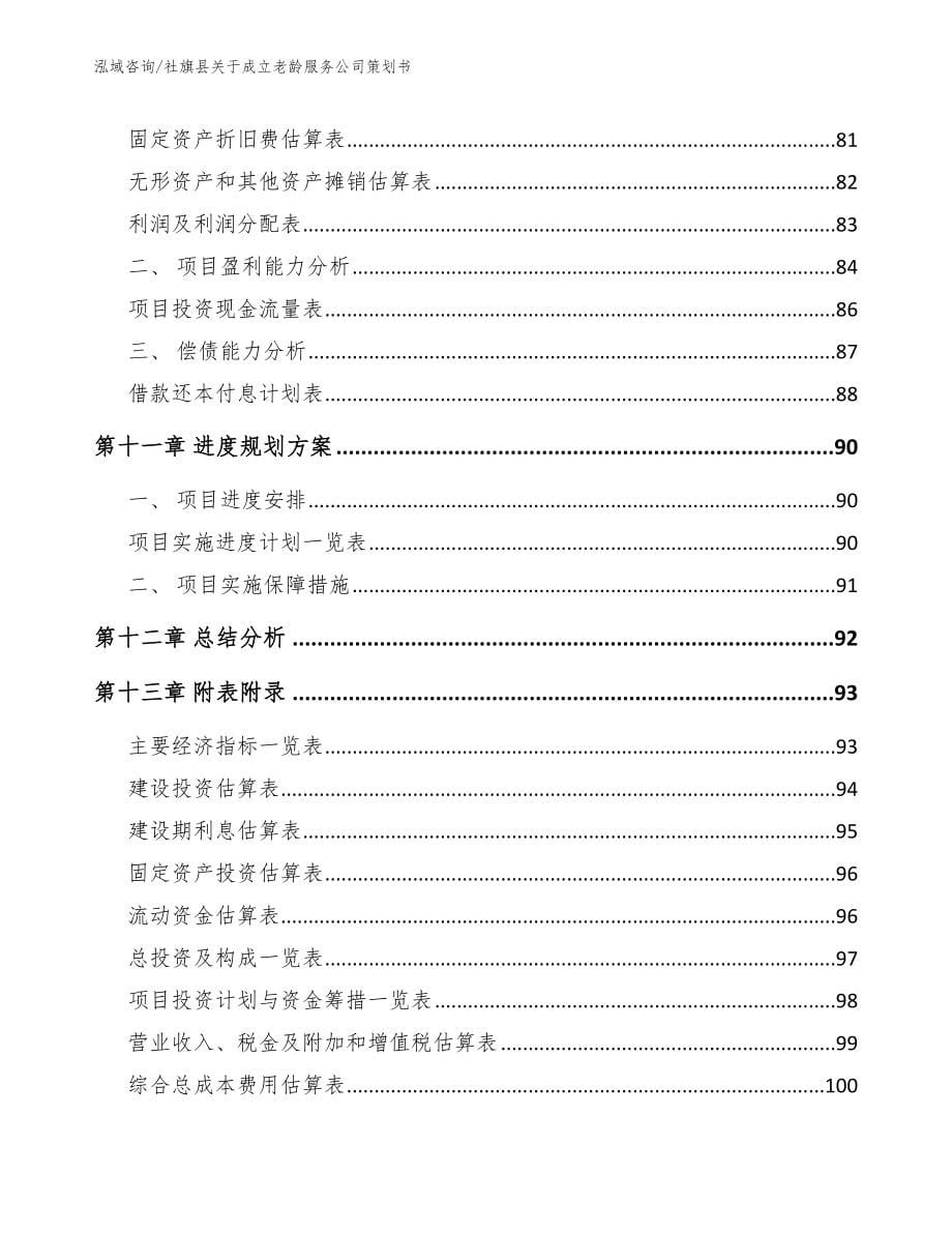 社旗县关于成立老龄服务公司策划书（模板范文）_第5页