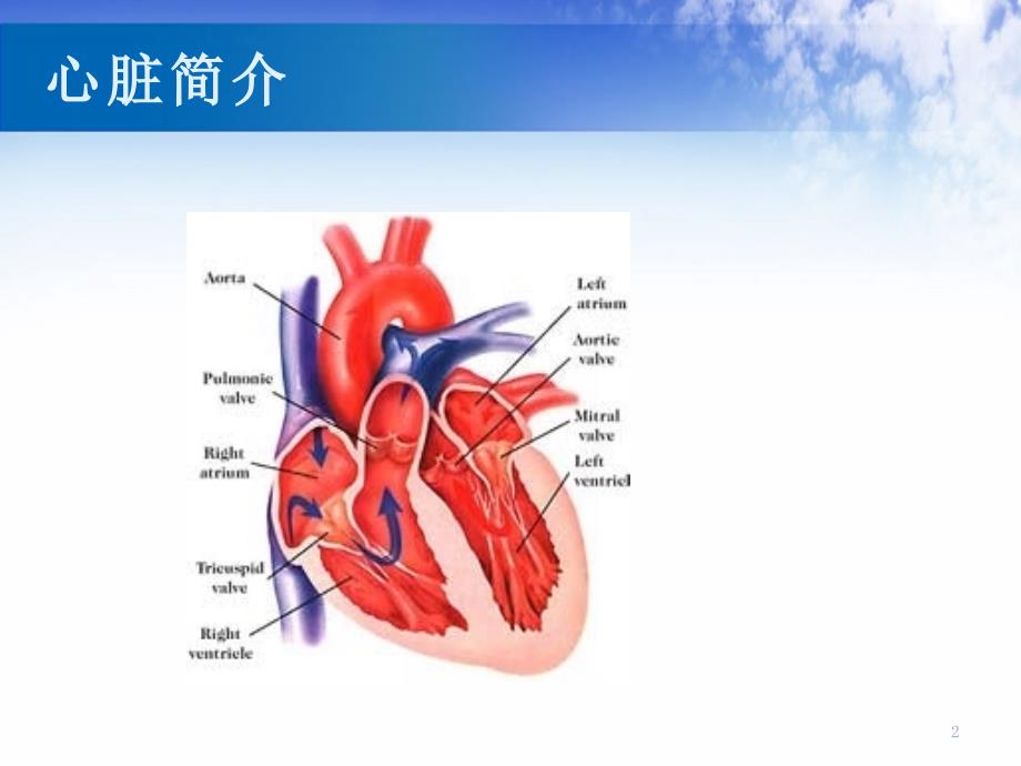 机械通气与心衰ppt参考课件_第2页