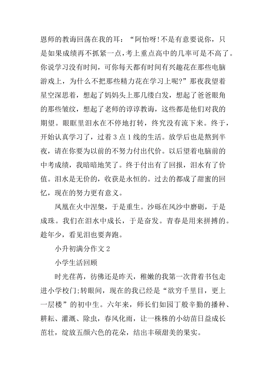 2023年小升初的满分作文5篇_第2页