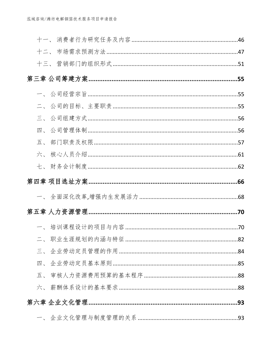 潍坊电解铜箔技术服务项目申请报告范文参考_第3页