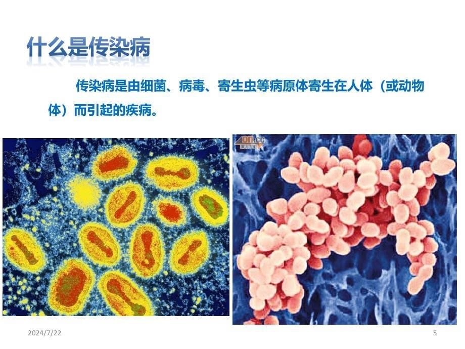 安全教育-怎样预防传染性疾病ppt参考课件_第5页