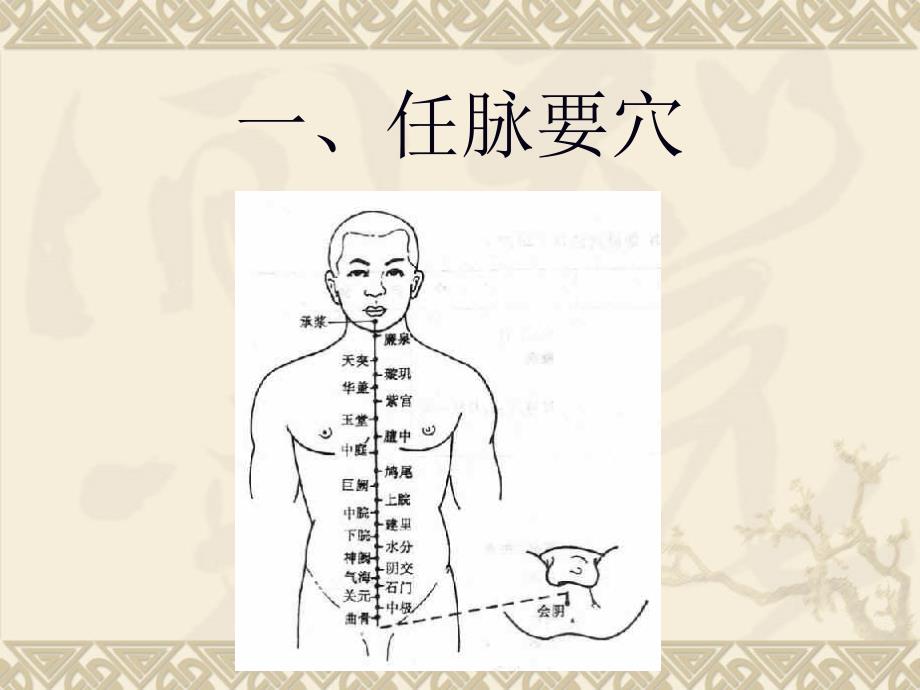 医学专题：新灸法治病要穴【定】_第3页