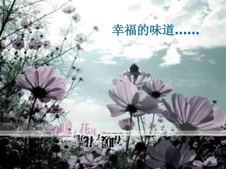 面朝大海 暖花开课件.ppt_第2页