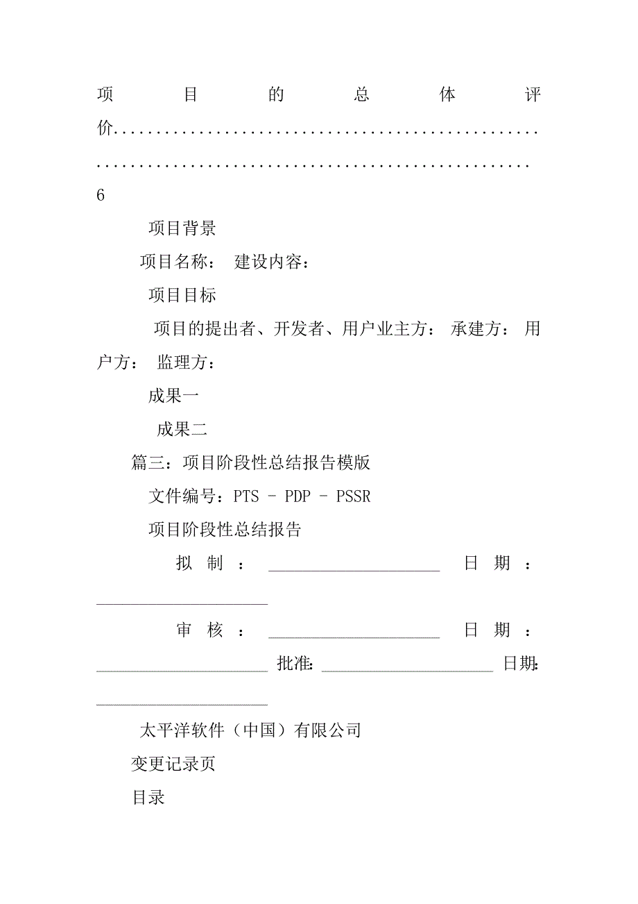 项目总结汇报模板_第4页