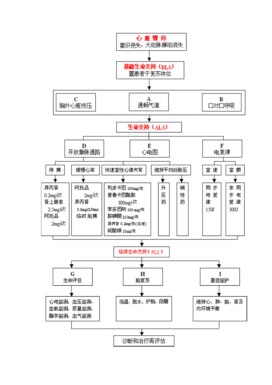 新版心肺复苏操作流程_第2页