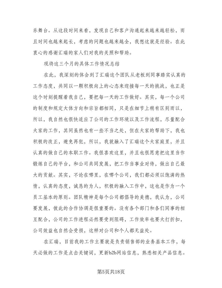 销售员试用期个人总结样本（5篇）.doc_第5页