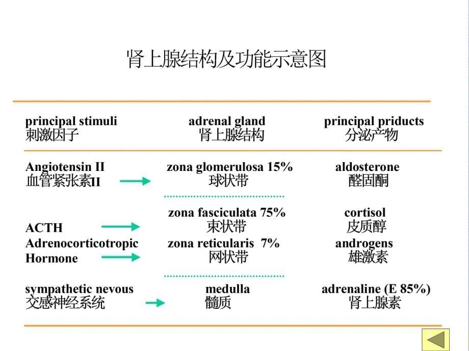 库欣综合征--ppt课件_第5页