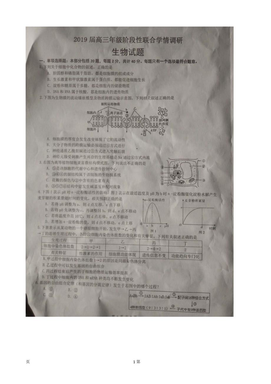 江苏省扬州市高邮市高三12月阶段调研测试生物试卷扫描版_第1页