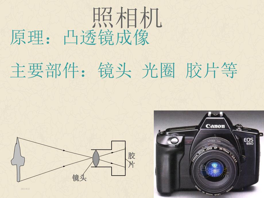 五年级科学下册照相机和眼睛推荐课件_第2页