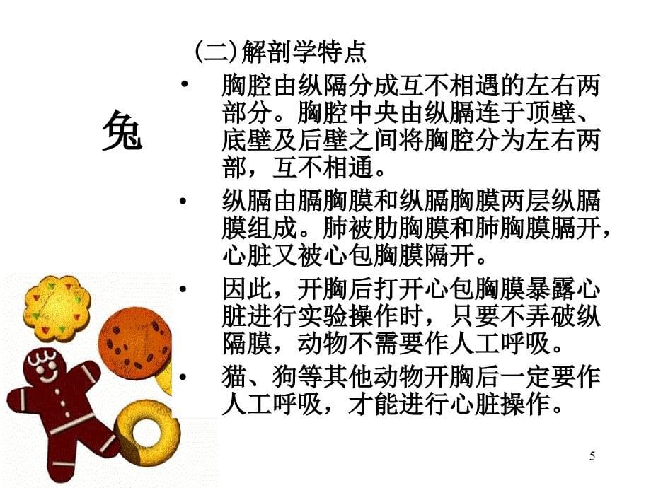 实验动物学教学课件：第三章 常用实验动物生物学特点及应用Ⅱ_第5页