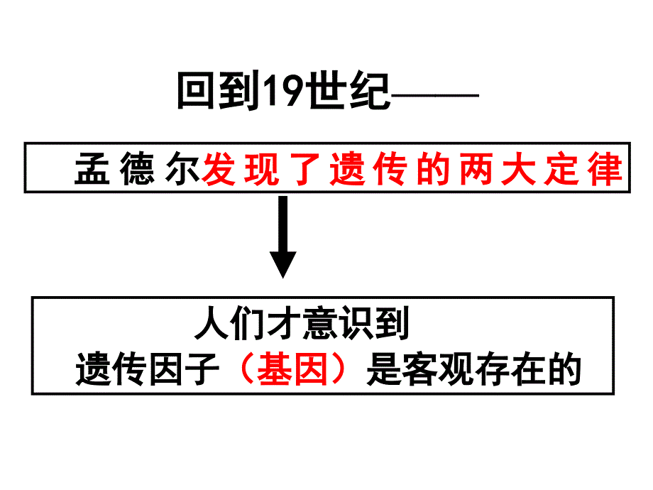 【人教版新教材】《基因在染色体上》1课件_第2页