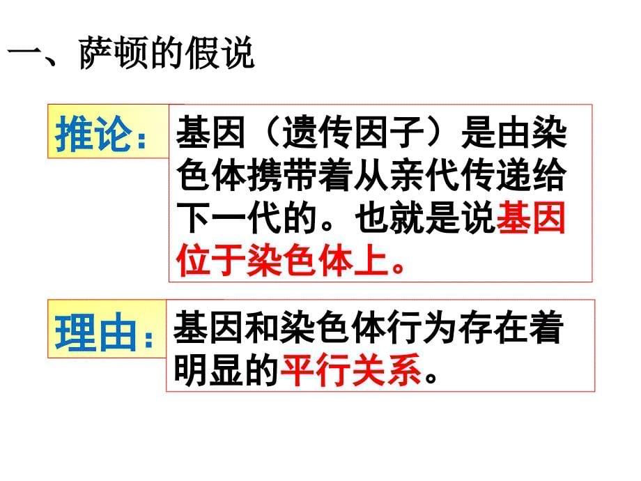 【人教版新教材】《基因在染色体上》1课件_第5页