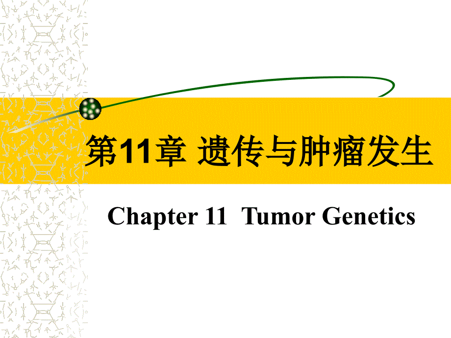 第11章遗传与肿瘤发生_第1页