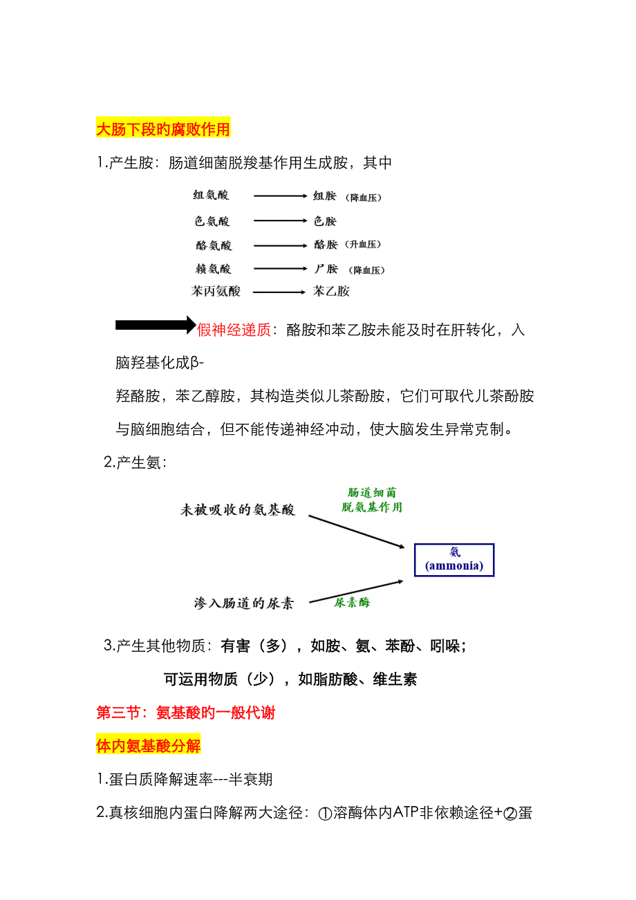 2023年生物化学氨基酸代谢知识点总结_第3页