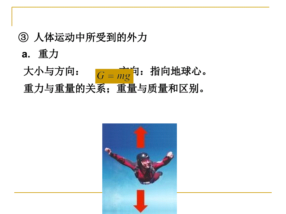 人体运动动力学PPT课件_第3页