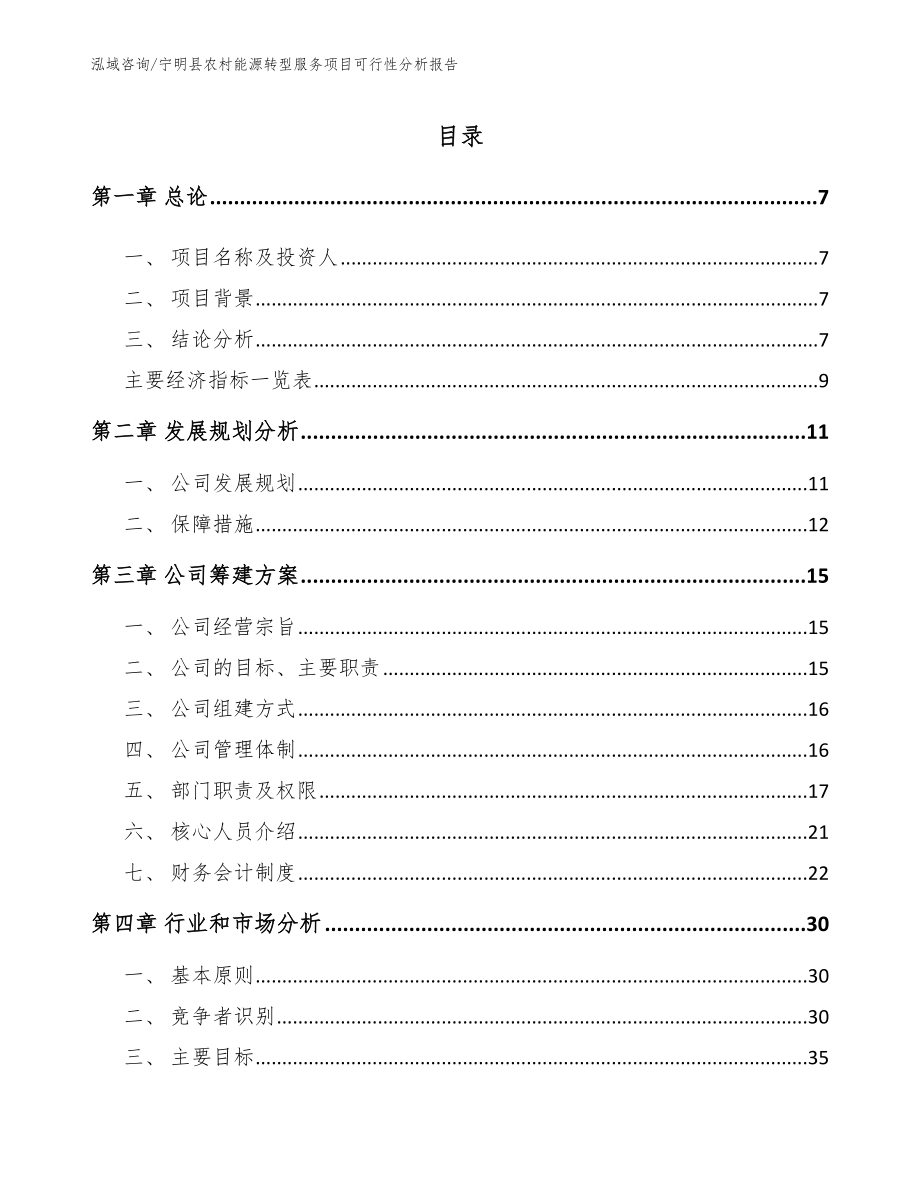 宁明县农村能源转型服务项目可行性分析报告【范文参考】_第1页