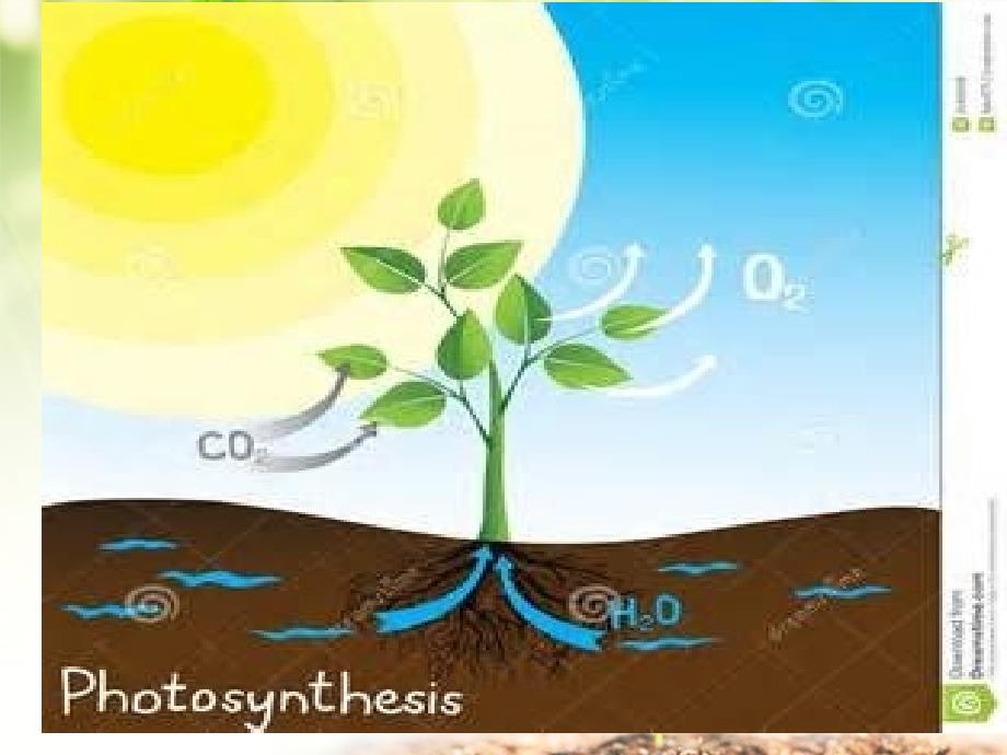 生物54能量之源光与光合作用2人教版必修1ppt课件_第1页